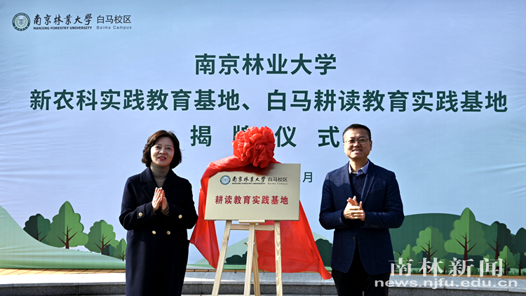微信图片_20241214120255_副本