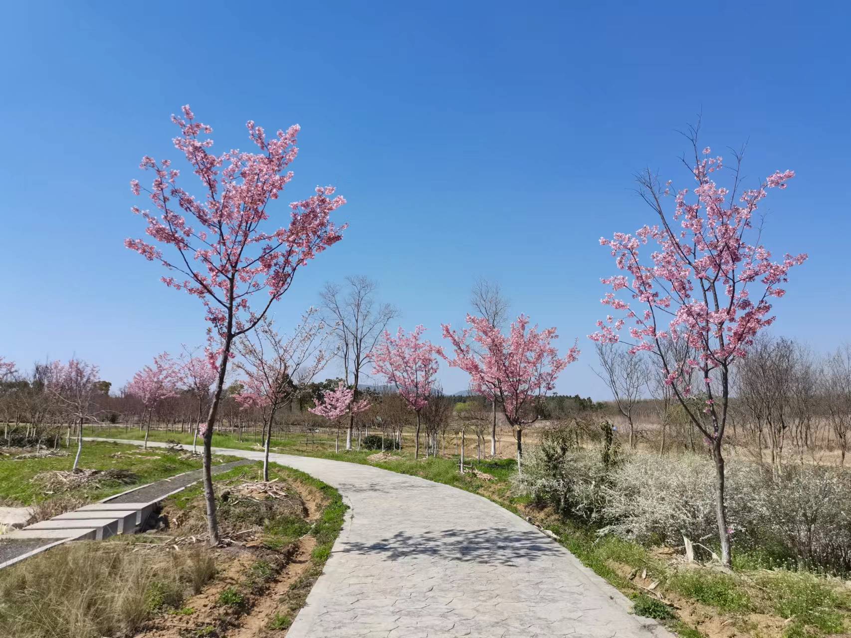 白马基地